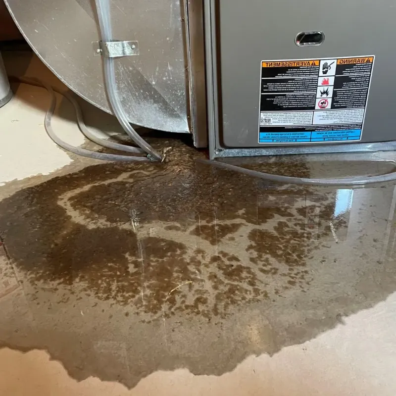 Pipe Burst and Leak Restoration in Mora County, NM