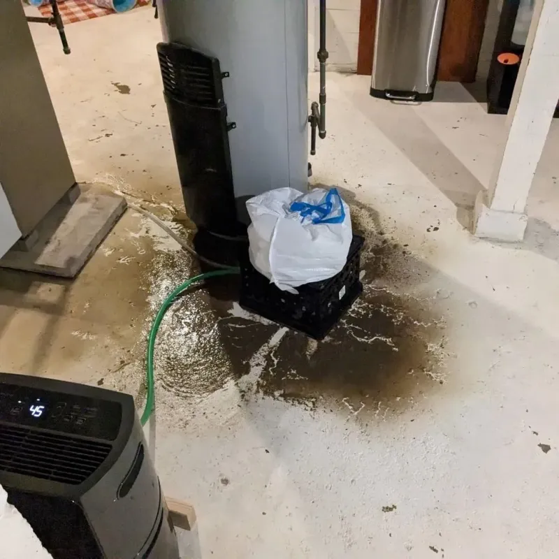 Sewage Backup Cleanup Service in Mora County, NM